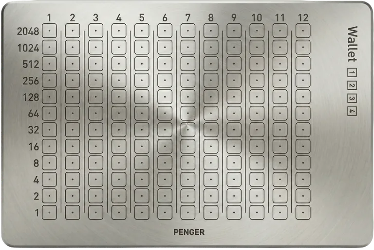 Titanium plate 1